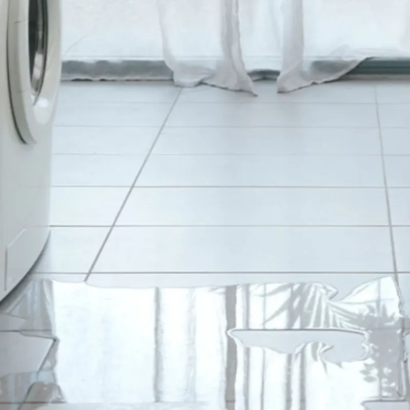 Appliance Leak Cleanup in Camino, CA