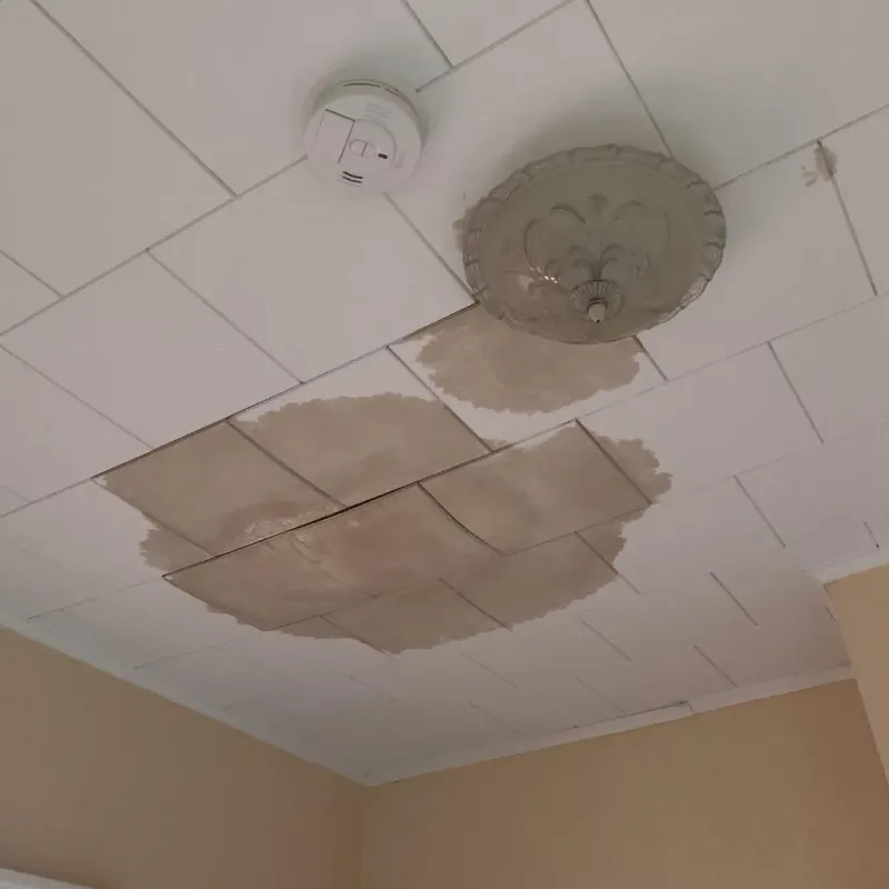 Ceiling Water Damage Repair in Camino, CA