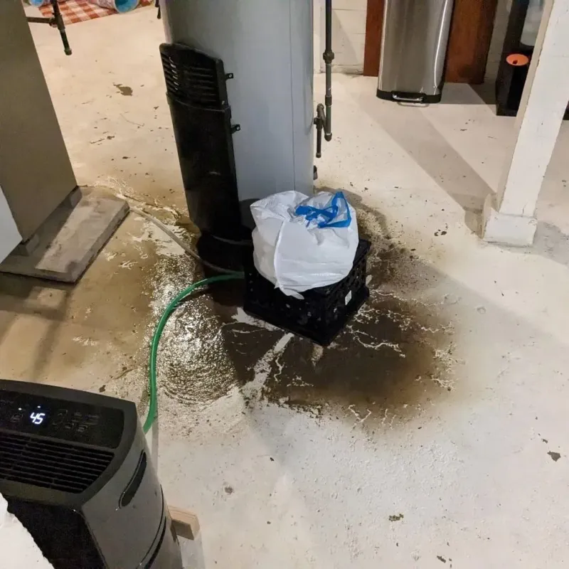 Sewage Backup Cleanup Service in Camino, CA